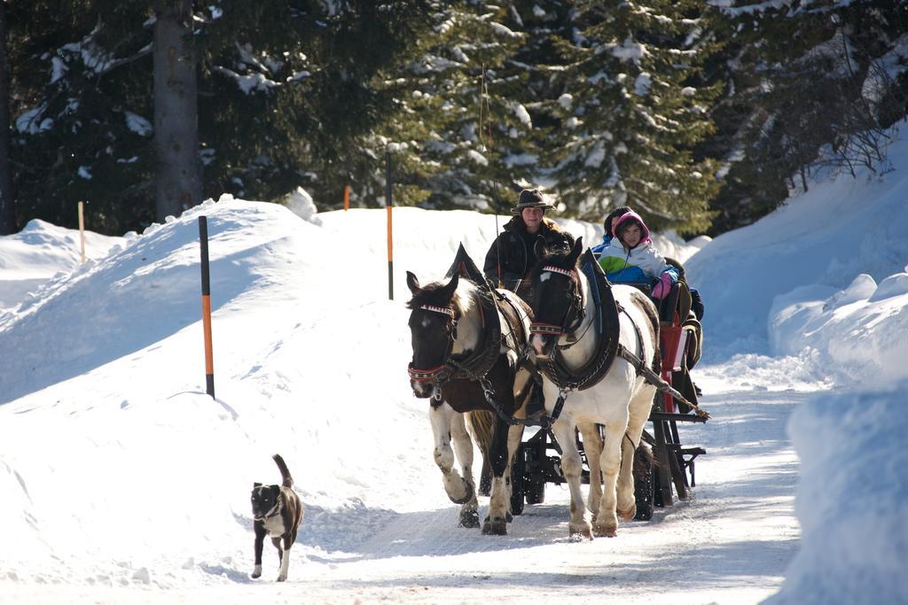 Hansalgut Hintergöriach 外观 照片
